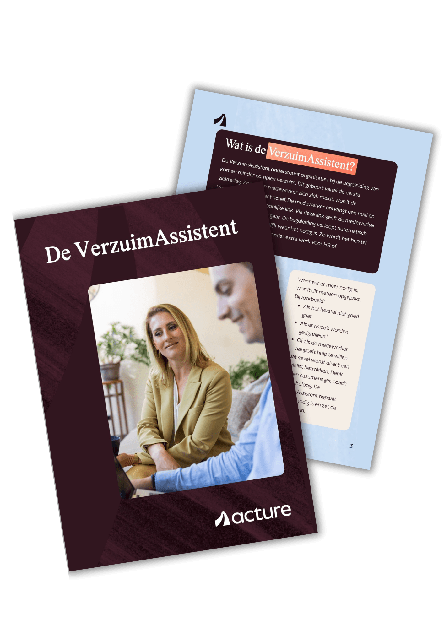 Verzuimassistent